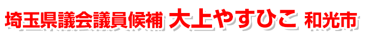 大上やすひこ｜和光市 県政相談中！